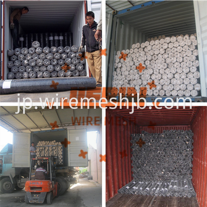 Galvanized Hexagonal Wire Mesh